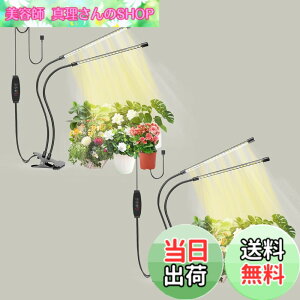 �y���������zbseah�����A���������A�S�X�y�N�g�������������A3��ނ̃��[�h��10���̒��� �T�C�Y�F���[2pcs