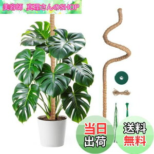 yzMcbazel ϗtA x Xe 120CM |px Ȃ\ RRibcEAx K[fjOp 7MM RCA|[p ێE{ێE_ƁE |p