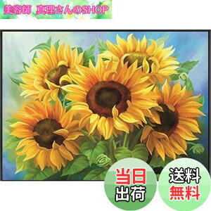 yzyXǁzNXeb`Lbh hJ Ђ܂ G@ׂȖ͗l  ㋉Ҍ ()