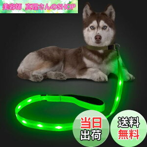 yzCandofly ˌ^ LED p[h - ÈłŌ錢p[h USB [dƖtp[vA4 tB[g̑ϋv̂ϐ_Ōp[hAybǧ̖̎Up ()