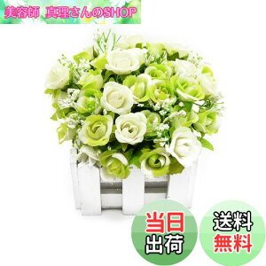 yzBEADY ~j_C[o lHϗtA  G} tFCNO[ CeA Mtg j (ԍ(zCg), O[&zCg)