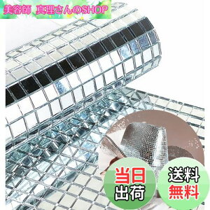 yzREDODECO {̃KX Vo[ ~[ UCN^C XebJ[ Ntgp ` KX^C ȔSA5mm x 5mm (Vo[A2400)