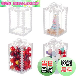 yzBENECREAT 24 vX`bNP[X [X{ 14x9x9cm Mtg{bNX NA ܂݃{bNX PVC   LO  p[eB[