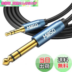 yzMillSO 6.35mm 3.5mm ϊP[u IX-IX I[fBIϊP[u 3.5mm~jvO to 6.35mmWvO 24bL XeIP[u 2.4m u[