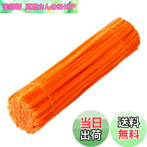 yzLeTradeJP |p[/H샂[ PF 30cm×6mm 100{ J[Lx Ntg[/i[ Ԍ`/t[C[ DIY萻 `f wZppi (IW)