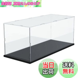 yzDuvinin ANP[X fBXvCP[X tBMAP[X RNVP[X tBMA[ AN 1/8XP[ 1/10~jJ[ S(LEGO) eNjbN 2022 tH[h GT