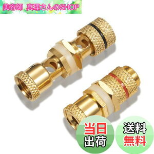 yzyoiivOp XXzby yWYVERN AUDIOz oiivO/pI v≏ X̃X WV-CHU-K 11 (21g)