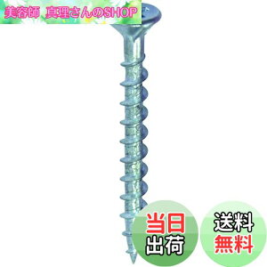 yz_Ch[ng (DAIDOHANT) R[XXbh (tL / SlW ) [ S / jN ] (Ăьad) 3.8 x (L1) 28mm (240{) 10176946