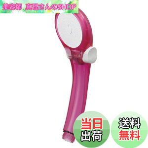 yzSANEI(TGC) V[wbh VW[ ߐE茳Xgbv XPgsN PS39631-80XA-CP6