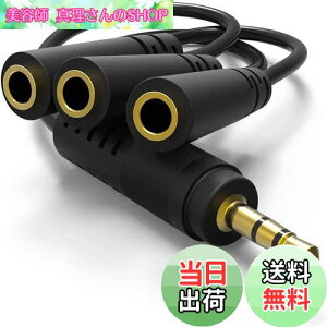 yzwuernine ~jvO P[u CzWbN I[fBIzP[u 3.5mmXeI CzXvb^[ [1{]