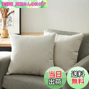 yzTopfinel NbVJo[ lۂ 60X60CM k  Ȗ n \t@w Jo[ zcJo[ zCg 2iS19Fj