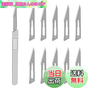 yzHƗpX nhX Yf|ޗ DIY ؍H NtgiCt u[h͌\ł AؒfA蒤AUȂǂ i 11p*1pcs+11n*10pcs j