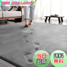 【送料無料】aicomri カーペット ラグマット ラグ 低反発 3畳 厚手15mm 190x240cm 洗える じゅうたん 厚い ホットカーペットカバー 滑り止め付 撥水加工 防ダニ 抗菌 床暖房ホットカーペット対応 フランネル らぐまっと グレー