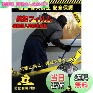 �y���������zZiifun �h�ƃt�B���� ���K���X�t�B���� [40cmX300cm] �h�Ѓe�b�N �h�Ƒ΍� �䕗�΍� �����V�[�g ��U�h�~�t�B���� �h�� ���� �N���h�~ �K���X�j��h�~ �h�� �n�k �󂫑��΍� ���K���X