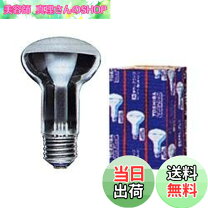 楽天市場】レフランプ 100W形 RF110V95WMの通販
