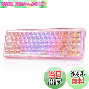 �y���������zYUNZII X71 ���J�j�J���Q�[�~���O�L�[�{�[�h �����L�[�L���b�v 71�L�[ 68%�z�� ���C�����X �z�b�g�X���b�v�Ή� BT5.0/2.4G/USB-C �K�X�P�b�g���� RGB ���� Windows/Mac�p �Z�K�F�؎擾�i�N��