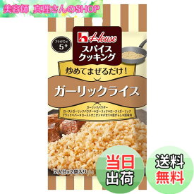 【送料無料】スパイスクッキング ハウス ガーリックライス 12g x10個 [材料とあえるだけ あえる1分]【シーズニング】