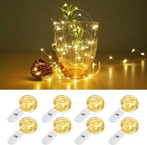 �y���������zLighting EVER LED�X�g�����O���C�g �d�r���t�F�A���[���C�g LED�C���~�l�[�V���� 1m 20LED �d���F �h���������C���[ �N���X�}�X���� ������ �p�[�e�B�[ �������C�g �N���X�}�X�c���[