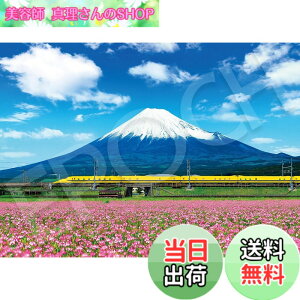 �y���������z�G�|�b�N�� 500�s�[�X �W�O�\�[�p�Y�� ���{���i �h�N�^�[�C�G���[�ƕx�m�R-�É� (38x53cm) 06-401s �̂�t�� �w���t�� �_�����t�� EPOCH