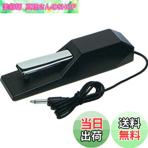 �y���������zKORG �_���p�[�y�_�� �d�q�s�A�m�p DS-1H �n�[�t�y�_���Ή�