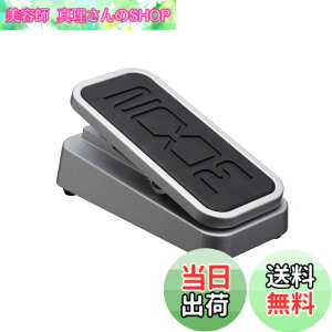 �y���������zZOOM �Y�[�� �G�N�X�v���b�V�����y�_�� FP02M ���^���{�f�B ���ϋv �{�����[�� ���E �s�b�`�V�t�g�Ή� �M�^�[ �x�[�X �G�t�F�N�^�[����p �X���[�Y�ϐ��\ �����ɍœK�y������