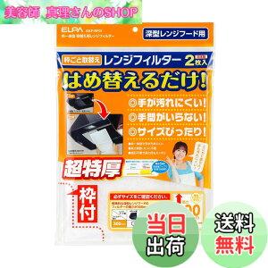 �y���������z�����d�� ��֗p�����W�t�B���^�[ 2���� �ϔMPP���� ��R�s�D�z �z���C�g W299xH302xD10(mm) EKF-RF01 2��
