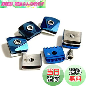 �y���������z�e�[���[���C�h SLDR �h���C�o�[�w�b�h�p �E�F�C�g �������i 5.5g 7g 9g 10g 12g 14g (12)
