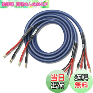 �y���������z�y�o�C���C���[�z WYVERN AUDIO �ɑ� �������x�� 12�c �o�i�i�v���O�t �����i HIFI �o�C���C�������O�ڑ� �o�C���C���[ �X�s�[�J�[�P�[�u�� 2�{1�g LR�Z�b�g �yWVA-04BW12�z �i�u���[�j 2.