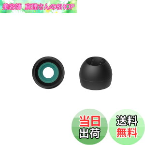 �y���������zJVC�P���E�b�h JVC EP-FX10MS-B �����p�C���[�s�[�X �X�p�C�����h�b�g++ 4���� MS�T�C�Y �u���b�N