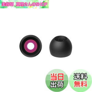 �y���������zJVC EP-FX10M-B �����p�C���[�s�[�X �X�p�C�����h�b�g++ 4���� M�T�C�Y �u���b�N