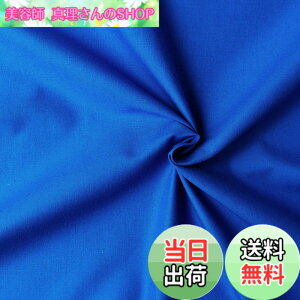 �y���������z���{�R�t�f��(Nippon Chuko) �G�C�e�B�X�N�G�A �u���[�n �Ж�110cmx50cm ��100% �V���[�e�B���O ���n���n KD4630-236-50CM