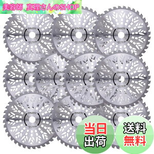 �y���������zSHUZIYU �����@�p�`�b�v�\�[ 230x36P 10���g