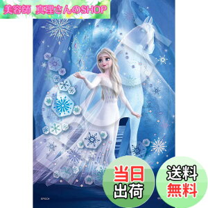 �y���������z�G�|�b�N�� 300�s�[�X �W�O�\�[�p�Y�� �f�B�Y�j�[ Elsa -Snow Queen-(�G���T -�X�m�[�N�C�[��-) (26x38cm) 73-304 �̂�t�� �w���t�� �f�R���[�V�����p�[�c�t�� EPOCH
