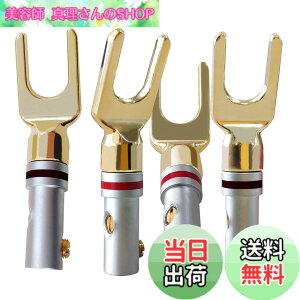 �y���������zCleqee 4�{ 24K�����b�L �X�s�[�J�[�v���O Y�^�v���O Y���O�[�q �˂����ݎ� ���͂񂾒[�q �X�s�[�J�[ �^�[�~�i��DIY�p�X�s�[�J�[�P�[�u���R�l�N�^
