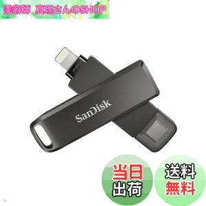�y���������zSanDisk TYPE-C SDIX70N-256G-GN6NE Lightnig Flash