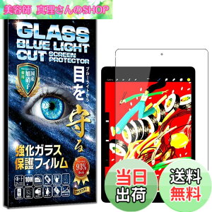 �y���������zRISE �t�B���� iPad 9���� �p �K���X�t�B���� �u���[���C�g�J�b�g 93% iPad ��9���� 2021 iPad 10.2 / ��8���� 2020 / ��7���� 2019 10.2�C���` �p �ی�t�B���� ���� �K���X ������ ������ ���{