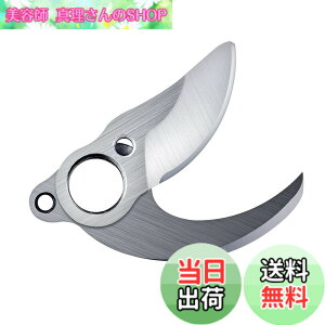 �y���������zKebtek�d��������YDN-B007�̑ւ��n�A�����p�̃u���[�h SK5���Y�f�|�A�V���[�u���[�h �ؒf�a25mm �݊��@��YDN-B007 (�ւ��n�Z�b�g)