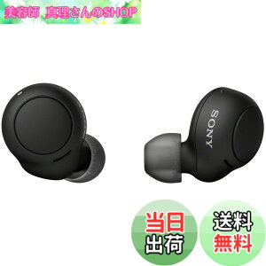 �y���������z�\�j�[(SONY) ���S���C�����X�C���z�� WF-C500 : /�y�ʏ��^5.4g/�����x�ʘb�i��/�ȒP�y�A�����O/IPX4�h�H���\/�u���b�N WF-C500 BZ