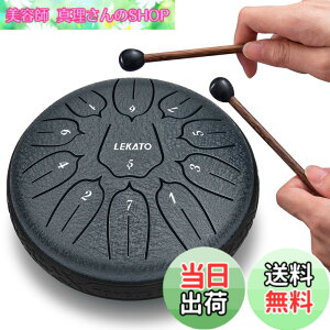 �y���������z�X���b�g�h���� �X�`�[���^���O�h���� LEKATO �����h���� 11�� 6�C���` �Ŋy�� �}���b�g ���[�o�b�O�t�� �ґz ���K �T (�l�C�r�[�u���[)