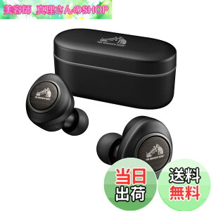 �y���������zJVC�P���E�b�h Victor HA-FW1000T ���C�����X�C���z�� Bluetooth �m�C�Y�L�����Z�����O WOOD�V���[�Y �ő�27h�Đ� �O����荞�� �؂̐U���̗p �}�C�N�t�� �h��