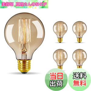 �y���������zBravelight �G�W�\���d�� 60W E26/E27���� �yG95�z �{�[���d�� �J�[�{���d��(��LED�d��) �g�F ������� �G�W�\���o���u ���g���d�� �A���e�B�[�N�Ɩ� �����d�� �ԐڏƖ� ���d�� ���͋C�d