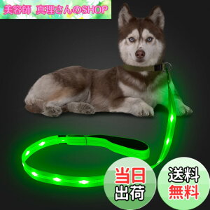�y���������zCandofly ���ˌ^ LED ���p���[�h - �ÈłŌ��錢 ���C�g USB �[�d���Ɩ��t�����p���[�v�A4 �t�B�[�g�̑ϋv���̂���ϐ����_�Ō����[�h�A�y�b�g�̌��̖�̎U���p (��)