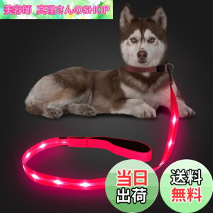 �y���������zCandofly ���ˌ^ LED ���p���[�h - �ÈłŌ��錢 ���C�g USB �[�d���Ɩ��t�����p���[�v�A4 �t�B�[�g�̑ϋv���̂���ϐ����_�Ō����[�h�A�y�b�g�̌��̖�̎U���p (�s���N)