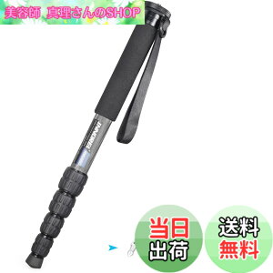 �y���������zINNOREL ��r �J�����p �J�[�{���� 22lbs/10kg�ω׏d 5�Z�N�V�����L�k�\ �R���p�N�g �֗� �y�� ���s�p�iRM285C�j