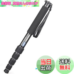 �y���������zINNOREL ��r �J�����p �R���p�N�g��r �A���~��r 12KG�ω׏d 5�i�L�k �g���x��/�쒹�B��/�����/�X�|�[�c�C�x���g�ɑΉ� ���s��r RM325A