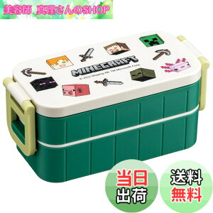 �y���������z�X�P�[�^�[(Skater) �ٓ��� 2�i 600ml �����p �R�� �����`�{�b�N�X ���{�� �}�C���N���t�g �G�N�X�v���[���[ ���A Minecraft �j�̎q YZW3AG-A