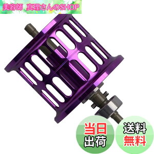 �y���������zHEIGHTEN ���[�� �X�v�[�� �_�C��(DAIWA) PR100 PT100 �x�C�g���[�� �ւ��X�v�[�� �x�A�����O�t�� (�p�[�v��) (625)