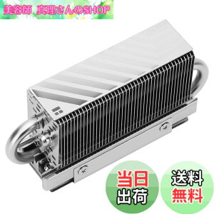 �y���������zThermalright HR10 2280 SSD�N�[���[�A2280 SSD�q�[�g�V���N��p�A���ʃq�[�g�V���N�A2�{�̓����q�[�g�p�C�v�A�f�X�N�g�b�v�����\2280 SSD�N�[���[�A�T�[�}���p�b�h�t���iHR10 2280)