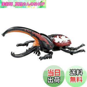 ���i�摜