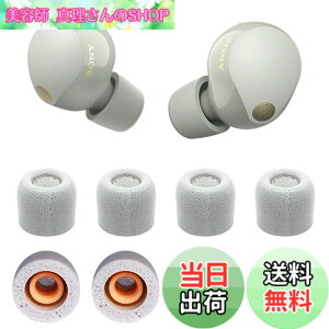 �y���������zVSuRing �C���[�s�[�X �\�j�[�p WF-1000xm5 �����p 8�� �ᔽ���E���^���� ���C�K�[�h �t�B���^�[�t Fit in the Case �Չ��� ����~�� �_�炩�� �t�����܂܏[�d�\ �t�B�b�g������ ������
